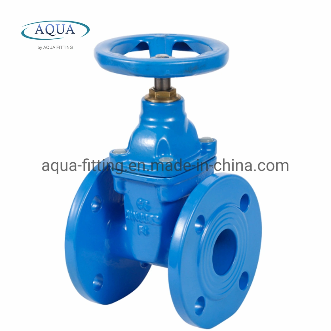 Ductile Iron Gate Valve DIN3352 F4/F5 Soft Resilient Seated Flange End Non-Rising Stem