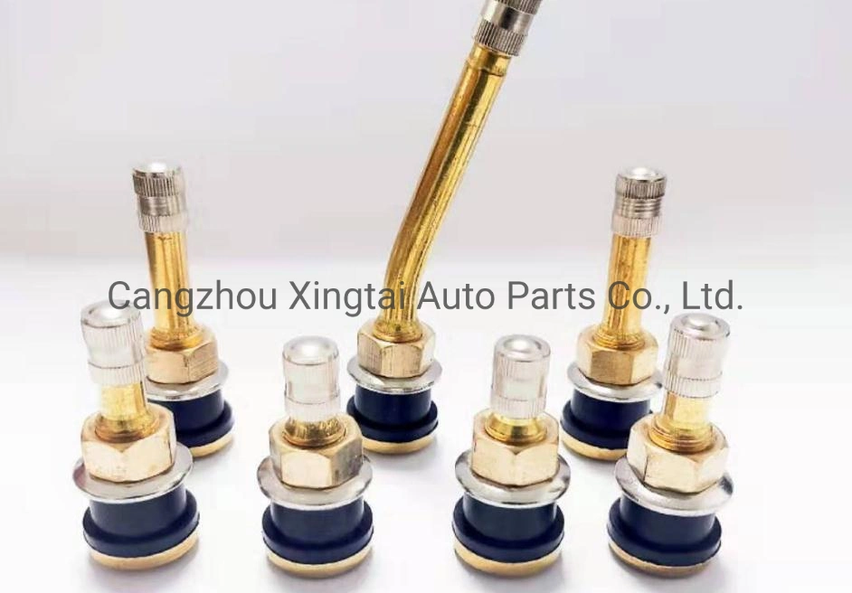 Tr418 Car Truck High Pressure Standard Length Snap-in Brass Tubeless Tire Valve Stem